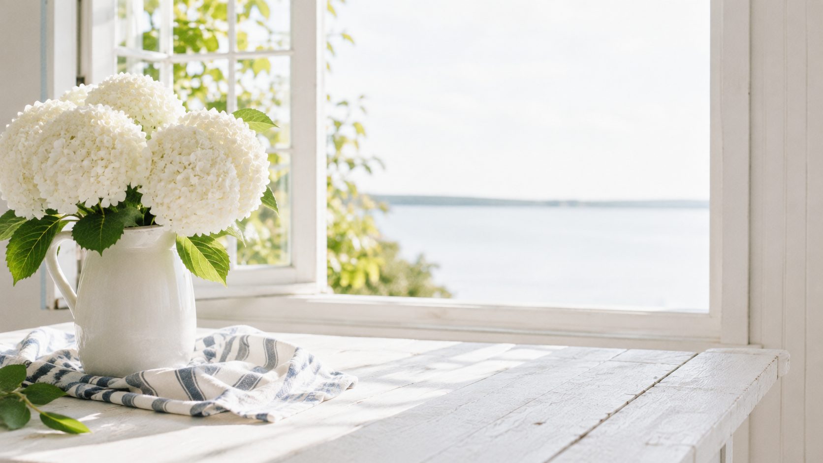 White hydrangea in a stoneware pitcher on a sunlit whitewashed table beside an open window over the sea